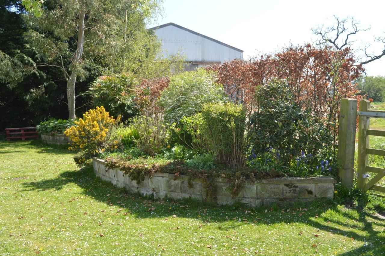 Birk House Bed & Breakfast Stamford Bridge Exteriör bild